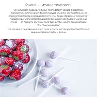 Леденец на палочке Miradent XyliPOP (голубика), 50 шт - изображение 2