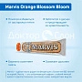Зубная паста Marvis Orange Blossom Bloom Цветки Апельсина, 75 мл - изображение 3