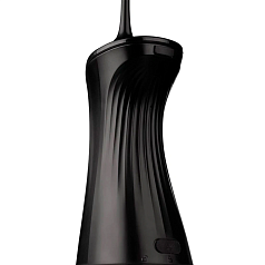 Ирригатор Revyline RL 220 (черный)