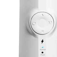 Ирригатор Revyline RL 610